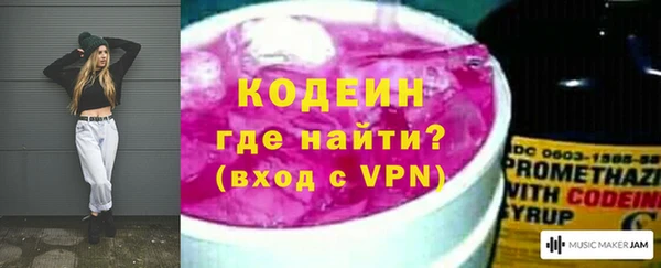 индика Верея